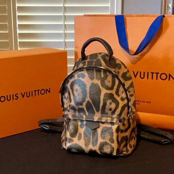 Louis Vuitton Backpack - Picture 1 of 1